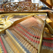 1889 Artcase Steinway. One-of-a-Kind masterpiece - Grand Pianos